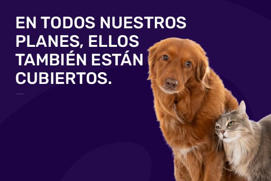 Cobertura Veterinaria Plenit